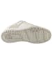 DC DC Shoes Stag in Beige