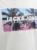Jack & Jones T-Shirt JJIndiana in hellgrau