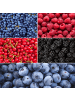 NatureNest Frucht-Oase BIO-Obstpflanzen-Mix-Set mit 5 verschiedenen Sorten  