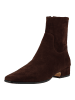 Steve Madden Stiefelette DUSTY in Chocolate