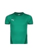 Puma Trainingsshirt TeamGOAL 23 Jersey Jr. in dunkelgrün / grün