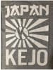 KEJO T-Shirt 492A3MXOS0XMT Grau