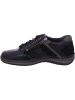 Josef Seibel Schnürschuh in schwarz