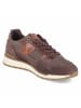 Bullboxer Schnürhalbschuh in brown