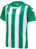 Hummel Kinder Sportshirt in Grün
