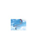 Playmobil Kugelbahn für Spielfigur Bausatz Sky Trails: Starter Kit + Spielfiguren, ab 7J