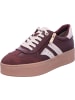 Marco Tozzi Schnürschuhe in BORDEAUX COMB