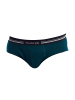 Abanderado Slip in Green