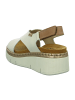 Pikolinos Keilsandaletten in Beige