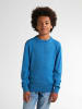 Petrol Industries Strick Basic Pullover Absaroka in Blau