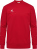 Hummel Hoodie "Hmlgo 2.0 Sweatshirt" in Rot