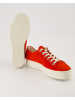 Paul Green Sneaker low in Rot