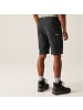 Regatta Wandershorts Highton II  in grau