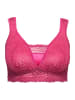 Ulla Popken BH ohne Bügel in fuchsia