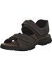 rieker Klassische Sandalen in braun/schwarz