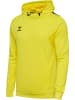 Hummel Hoodie Hmlauthentic Pl Hoodie in BLAZING YELLOW