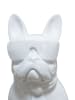 Kayoom Skulptur Bulldog 125 in weiß