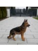 relaxdays Gartendeko Figur Hund XXL "Schäferhund" - (B)40 x (H)114 x (T)91 cm