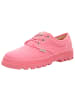 Palladium Schnürschuhe in pink
