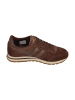 Gola Sneaker Low DAYTONA SUEDE in braun