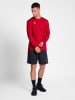 Hummel Sweatshirt Hmlauthentic Herren in TRUE RED