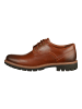 Clarks SHOES "Batcombe Hall" in dark tan