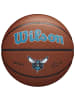 Wilson Wilson Team Alliance Charlotte Hornets Ball in Braun