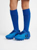 Hummel Fußball Schuh Top Star Fußball Kinder in SURF THE WEB
