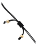 faina Women Cord Bracelet With Beads in Gold Black