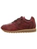 Cetti Sneaker Low in bordeaux