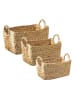 CALICOSY 3er-Set Körbe aus Wasserhyazinthe -  in Helles - (W) 46  x (H) 27  x (L) cm