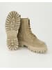 Zahira Schnürstiefeletten in Beige