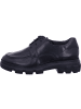 Paul Green Schnürschuh in schwarz