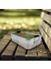 Mr. & Mrs. Panda Bento Box Otter Kind Design ohne Spruch in Weiß