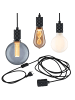 paulmann LED Pendelleuchte Tilla inkl. Stecker E27 in Schwarz