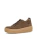 Gabor Sneaker low in braun