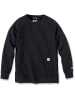 CARHARTT  Pullover "Relaxed Fit Lightw. 105468" in Schwarz