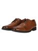 Clarks Schnürschuhe Tilden Cap in 5234 Dark Tan Lea