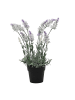 Home&Styling Collection Künstlicher Lavendel im Topf in Hellblau, 40 cm