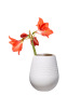 Villeroy & Boch Vase Manufacture Collier in 14 cm in Blanc
