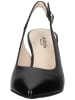 Nero Giardini Pumps in Schwarz