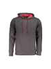 U.S. Polo Grau Herren Sweatshirt