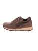 Gabor Sneaker Low in taupe