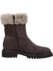 Palado Winterstiefeletten Faxina in Grau-Braun