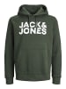 Jack & Jones Kapuzenpullover in Mountain View
