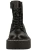 Steve Madden Stiefel in Black