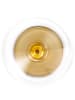 Eisch 2er Set Allroundgläser Inspire SensisPlus 400 ml in Amber