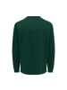 Only&Sons Langarmshirt in pine grove