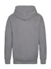 Calvin Klein Hoodie in Grau
