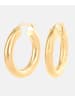 Vanlere Creolen aus 375 Gelbgold